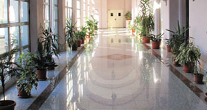 polished terrazzo floor